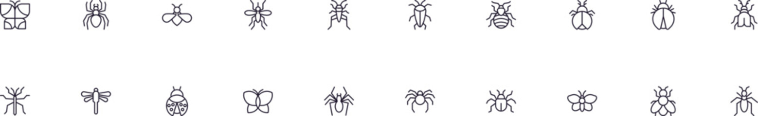 Bugs vector symbols drawn with black thin line. Editable stroke. Simple linear illustration that can be used as a design element for apps and websites