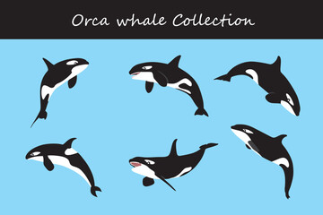 orca collection. Vector illustration. Isolated on white background.