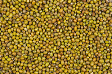 Texture background of mung beans. Food background.