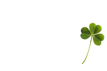 Four-Leaf Clover Isolated On Transparent Background.