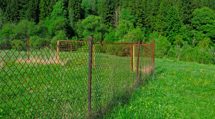 A part of the meadow is enclosed by a chain-link fence. There is a forest in the background.