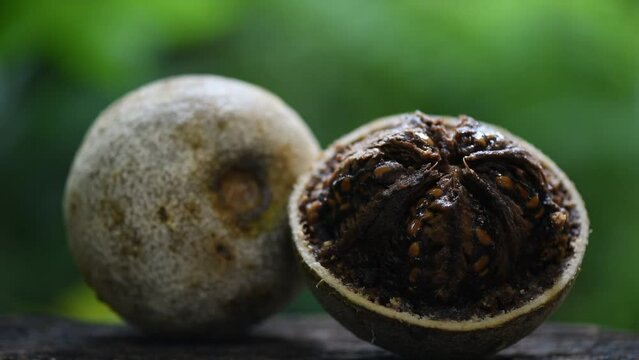 Elephant apple or Limonia acidissima fruits on natural background.