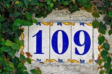 Street sign number 109 on a wall with plants