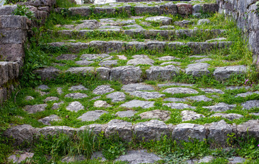 Ancient stone steps overgrown with moss