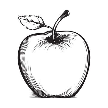 Apple Illustration Images, illustration of an apple