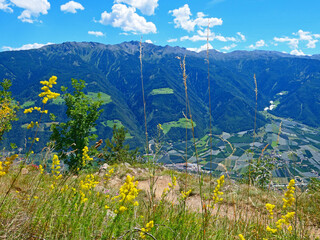 Südtirol - Sommer im Vinschgau