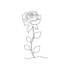 Black and white illustration with a rose flower in line art style