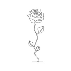 Black and white illustration with a rose flower in line art style
