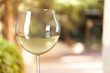 white wine chilled ice in glass at nature background