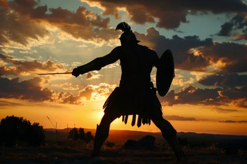 Fotobehang gladiator in silhouette preparing to engage at sunrise © studioworkstock