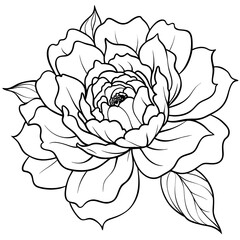 Peony Vector Art Blossoming Beauty in Digital Form