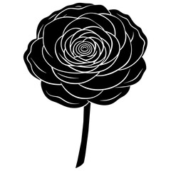 Ranunculus Vector Art Elevate Your Designs with Stunning Floral Graphics