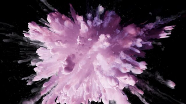 Cg animation of light purple smoke/powder explosion on a black background. Cg, slow motion, alpha matte