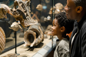 African American Father and Son Observing Fossils at a Museum Exhibition
