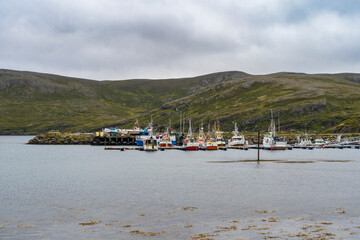 Skarsvag fishing village in Mageroya, Nordkapp in Finnmark County in Norway - 773077382