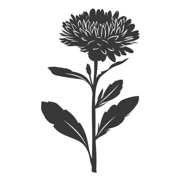 black chrysanthemum flower silhouette on white clip art preview
