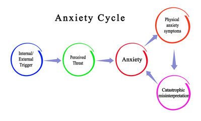 Five Components of Anxiety Cycle