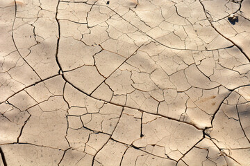 Land with dry and cracked ground.