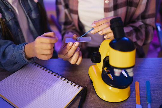 Close up of hands of young woman in casual wear sitting with girl at table and using microscope for studying sciences. Mother with daughter holding slides with plant cell near microscope at home.