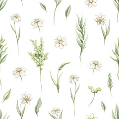 Fototapeta na wymiar Seamless pattern with vintage various chamomile flowers and leaves set isolated on white background. Watercolor hand drawn illustration sketch