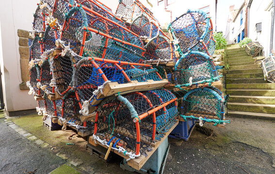 Lobster Traps Images – Browse 9,515 Stock Photos, Vectors, and Video