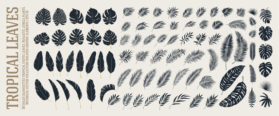 Detailed silhouettes tropical greenery exotic leaves, Realistic natural jungle plants branches, Botanical of green forest fern vector assets collection isolated graphic elements, EPS 10 - obrazy, fototapety, plakaty