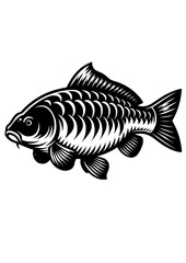 Fototapeta na wymiar Carp SVG, Carp Fish SVG, Carp Fishing, Lake Fishing, Carp Clipart, Carp Silhouette, Carp Cut file for Cricut, PNG, PDF, JPG