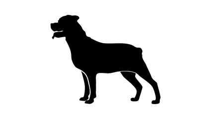 rottweiler dog, black isolated silhouette