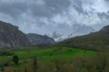 Naranjo de Bulnes