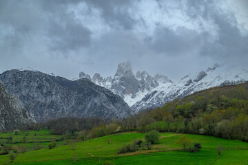 Naranjo de Bulnes