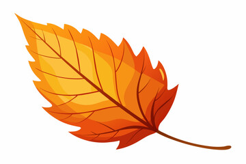 Fall leaves with white background.