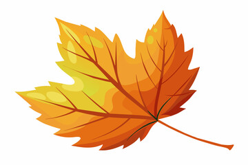 Fall leaves with white background.