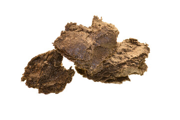 Extruded seeds isolated on a white background