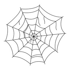 Fototapeta premium Halloween Spider Web