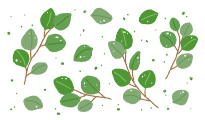 Hand drawn illustration of green eucalyptus tree leaves.