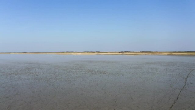 Drone flight over large dried up lake in summer in nature reserve Slano Kopovo