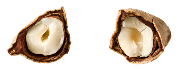 Half of Brazil nut isolated on white background.