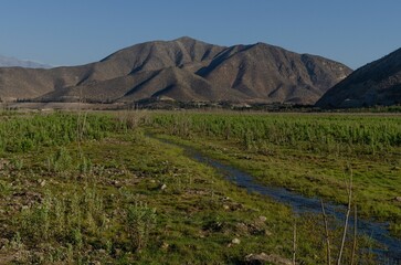 Scenic landscape with a stream surrounded by lush green grass, with mountain peaks in the background
