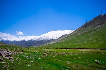 Scenic Himalayan landscape with a green slope against the background of a bright blue sky.