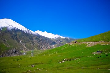Fototapeta na wymiar Scenic Himalayan landscape with a green slope against the background of a bright blue sky.