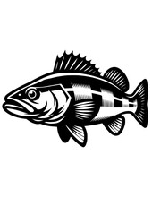 Walleye svg, Walleye png, Walleye Silhouette, Walleye Fishing svg, Walleye clipart, Walleye Vector, Fishing SVG, PDF, PNG, JPG