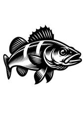 Fototapeta na wymiar Walleye svg, Walleye png, Walleye Silhouette, Walleye Fishing svg, Walleye clipart, Walleye Vector, Fishing SVG, PDF, PNG, JPG