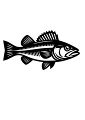 Fototapeta na wymiar Walleye svg, Walleye png, Walleye Silhouette, Walleye Fishing svg, Walleye clipart, Walleye Vector, Fishing SVG, PDF, PNG, JPG