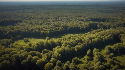 Aerial view of Earth's forests and fields