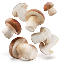 Porcini mushrooms levitating in air on white background. Clipping paths.