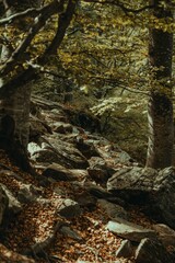 Konjushka Peak, Sharr Mountain, Kosovo