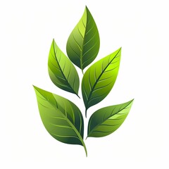 An environmental illustration featuring green leaves, a symbol of nature's beauty and organic freshness.