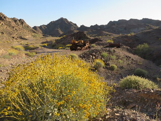 Abandoned Old Bulldozer in Springtime in Arizona Desert 