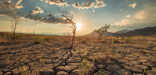 Drastic transformation of the landscape due to global warming - obrazy, fototapety, plakaty