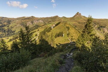 a mountain trail through a grassy valley surrounded by trees and bushes